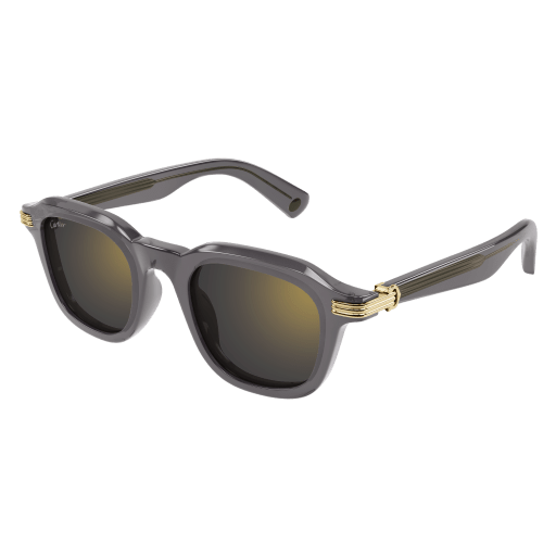 Cartier CT0536S